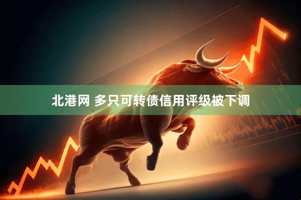 北港网 多只可转债信用评级被下调