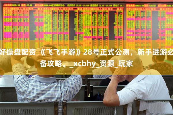 好操盘配资 《飞飞手游》28号正式公测，新手进游必备攻略。_xcbhy_资源_玩家