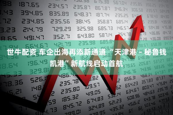 世牛配资 车企出海再添新通道 “天津港－秘鲁钱凯港”新航线启动首航