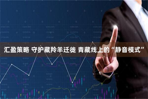 汇盈策略 守护藏羚羊迁徙 青藏线上的“静音模式”