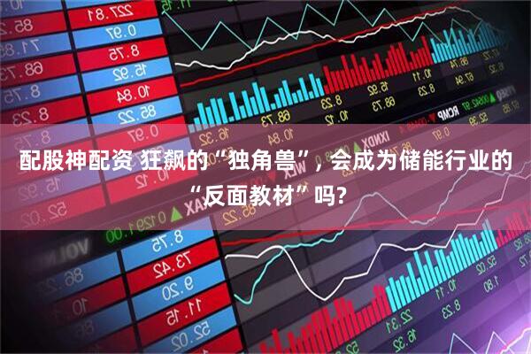 配股神配资 狂飙的“独角兽”, 会成为储能行业的“反面教材”吗?